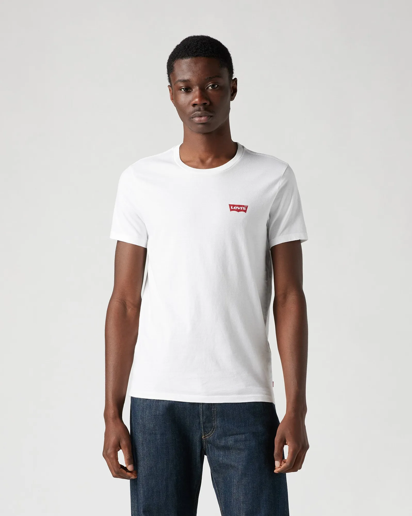 Levi's® 2-Pack Housemark Graphic Crewneck Tees - White / Blue