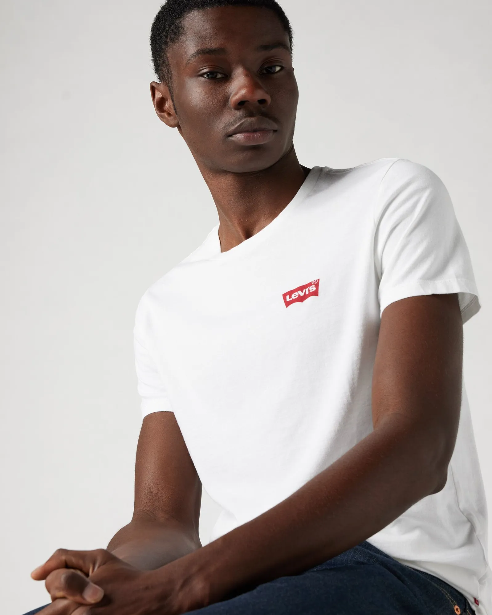 Levi's® 2-Pack Housemark Graphic Crewneck Tees - White / Blue