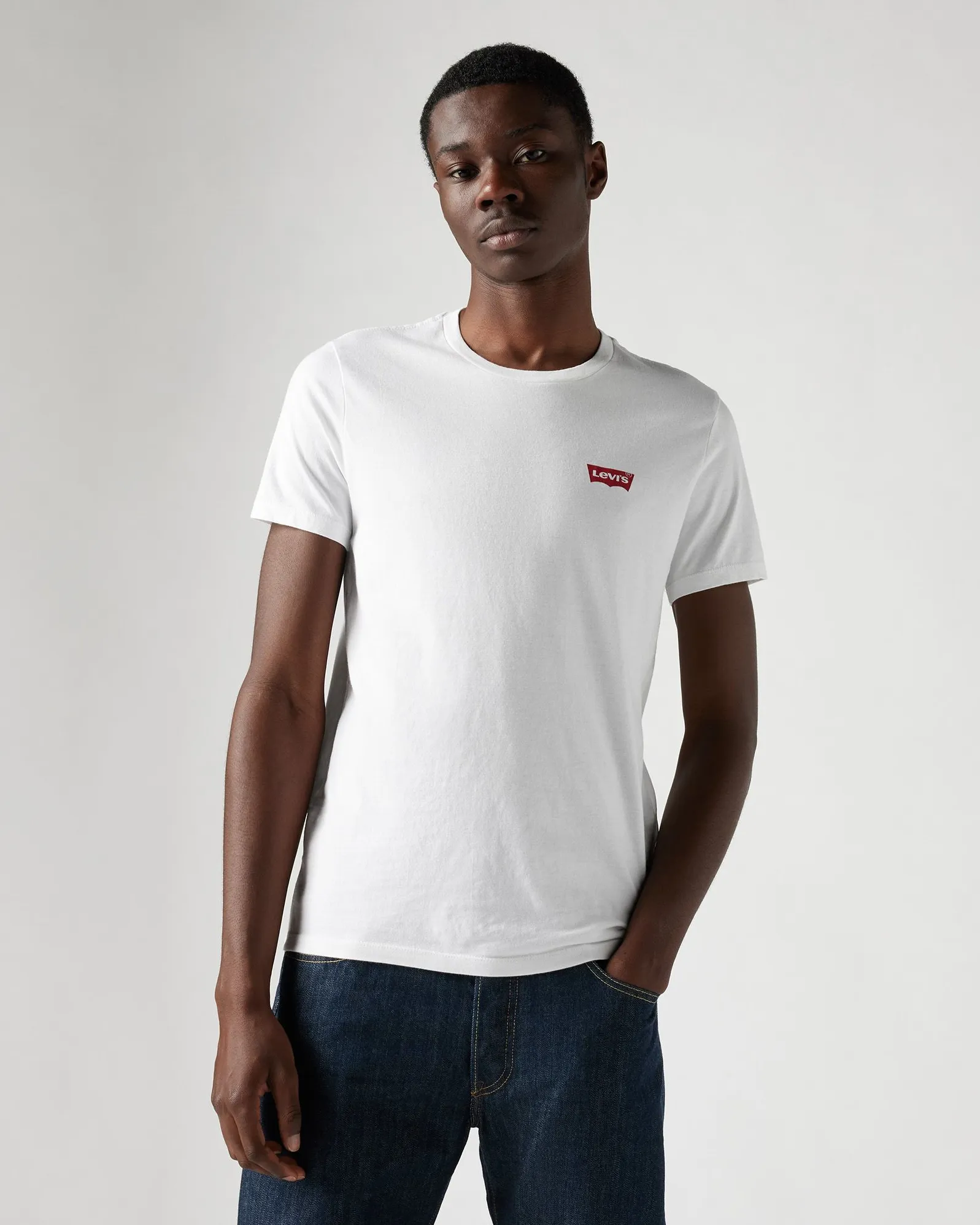 Levi's® 2-Pack Housemark Graphic Crewneck Tees - White / Blue