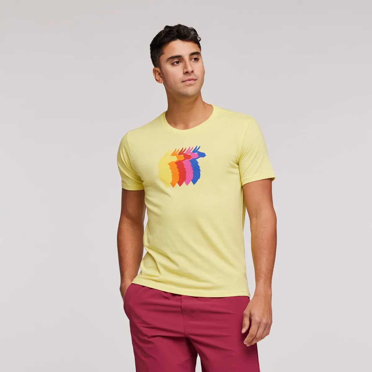 Llama Sequence T-Shirt - Men's