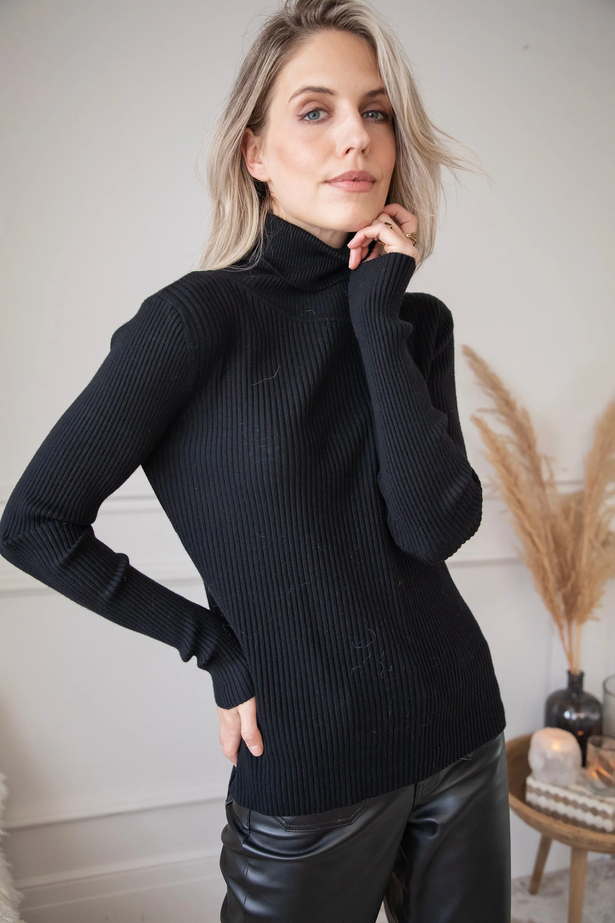 Maxime Turtle Neck Black - Trui