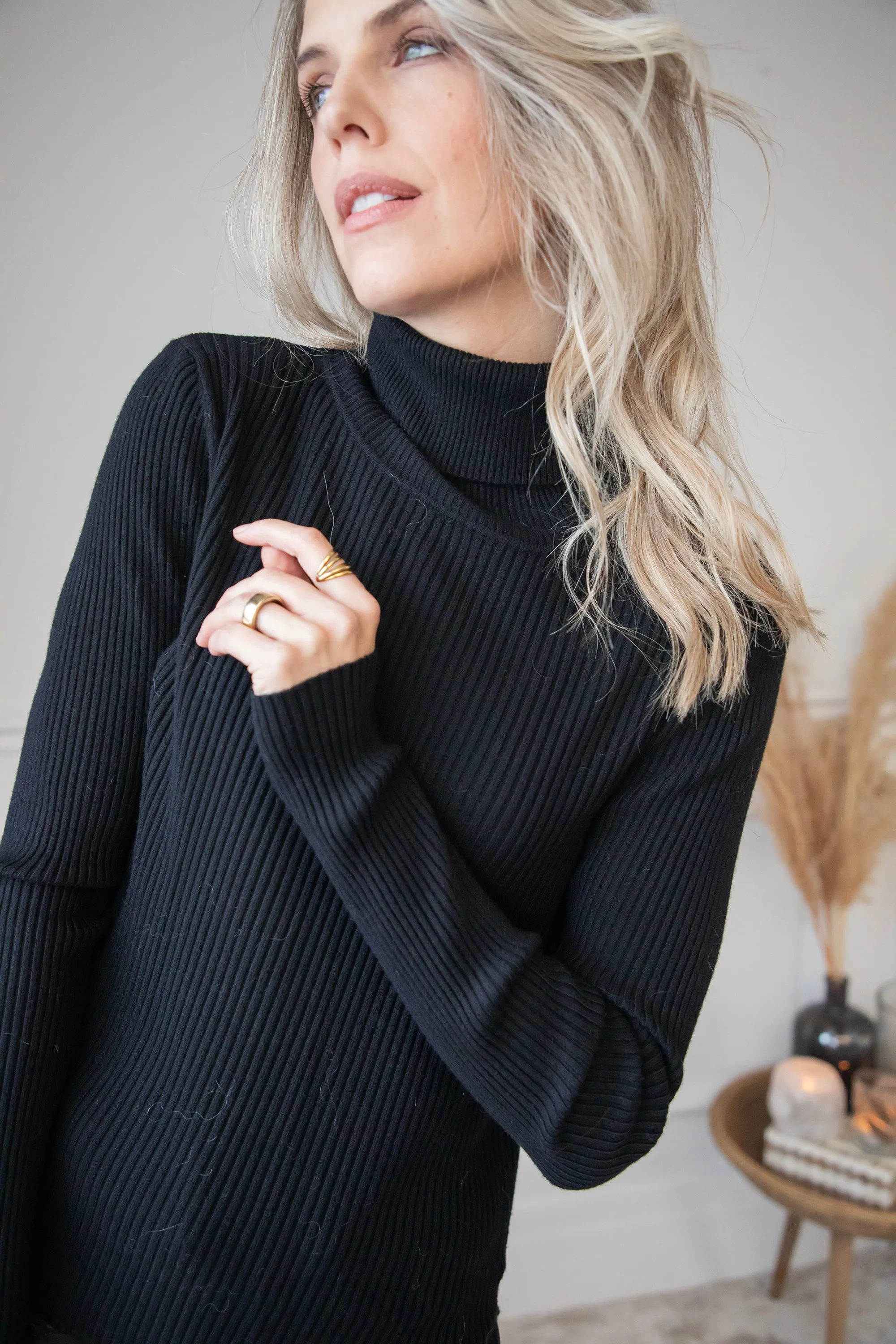 Maxime Turtle Neck Black - Trui