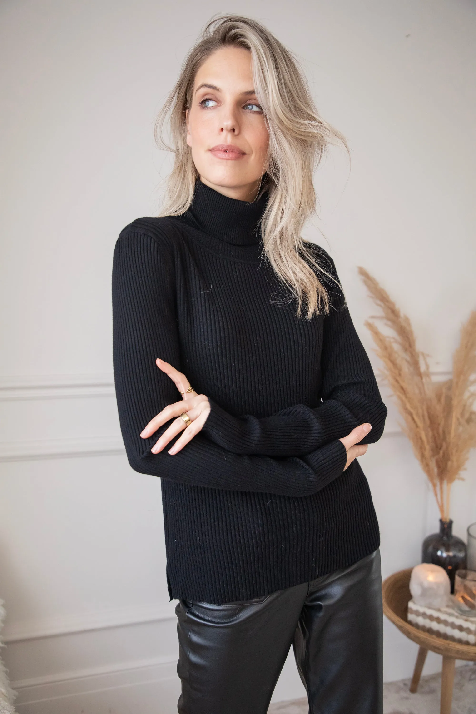 Maxime Turtle Neck Black - Trui