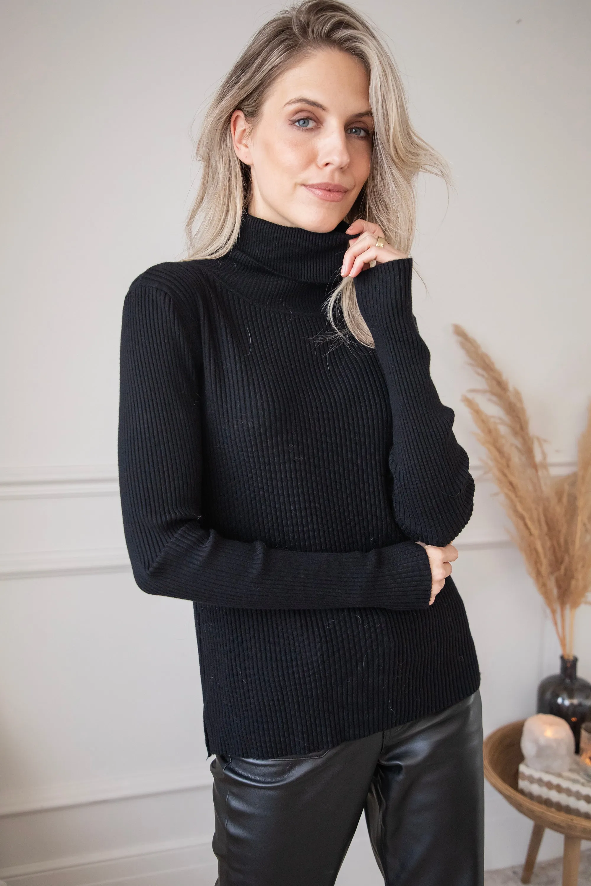 Maxime Turtle Neck Black - Trui