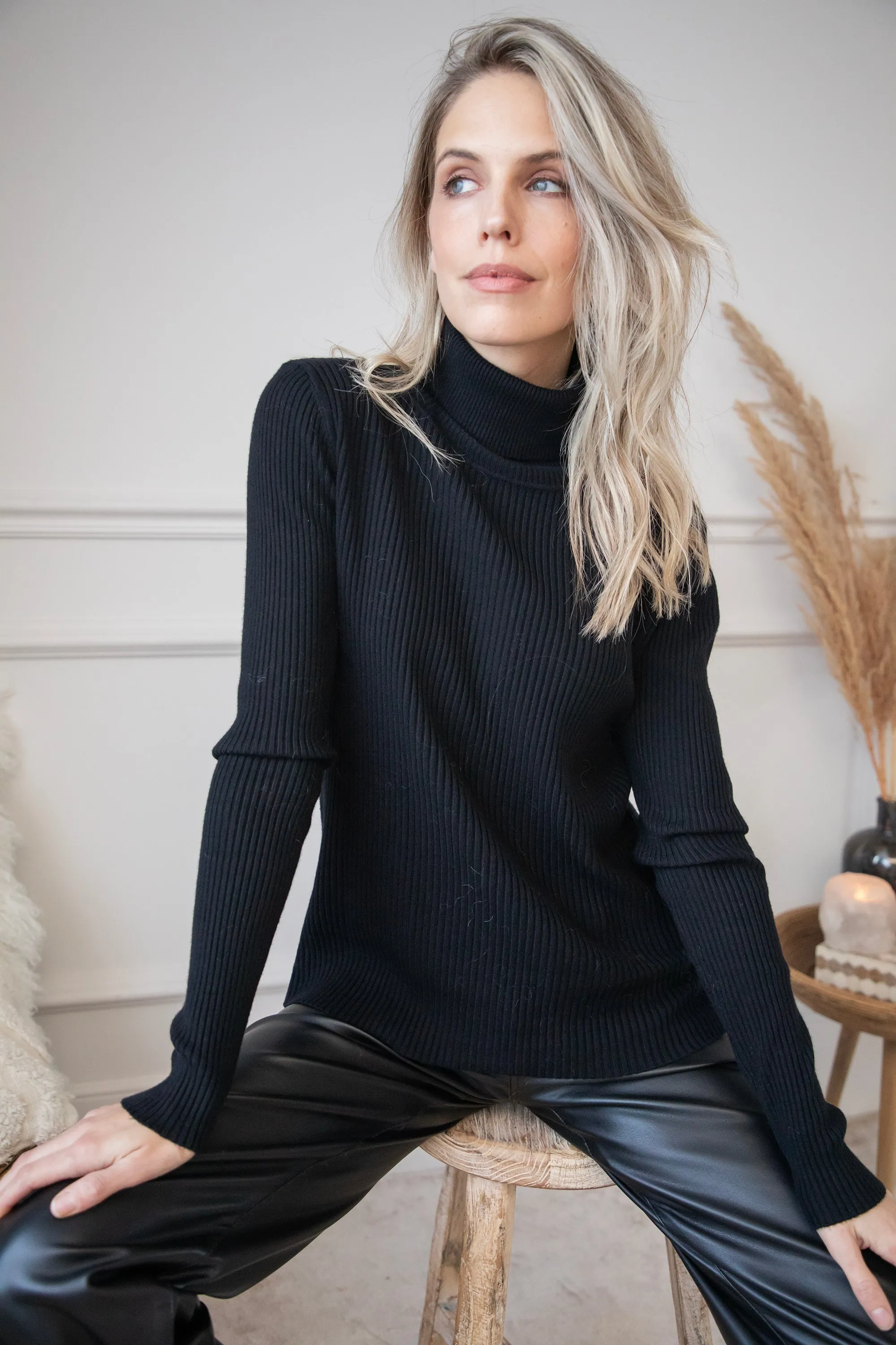 Maxime Turtle Neck Black - Trui