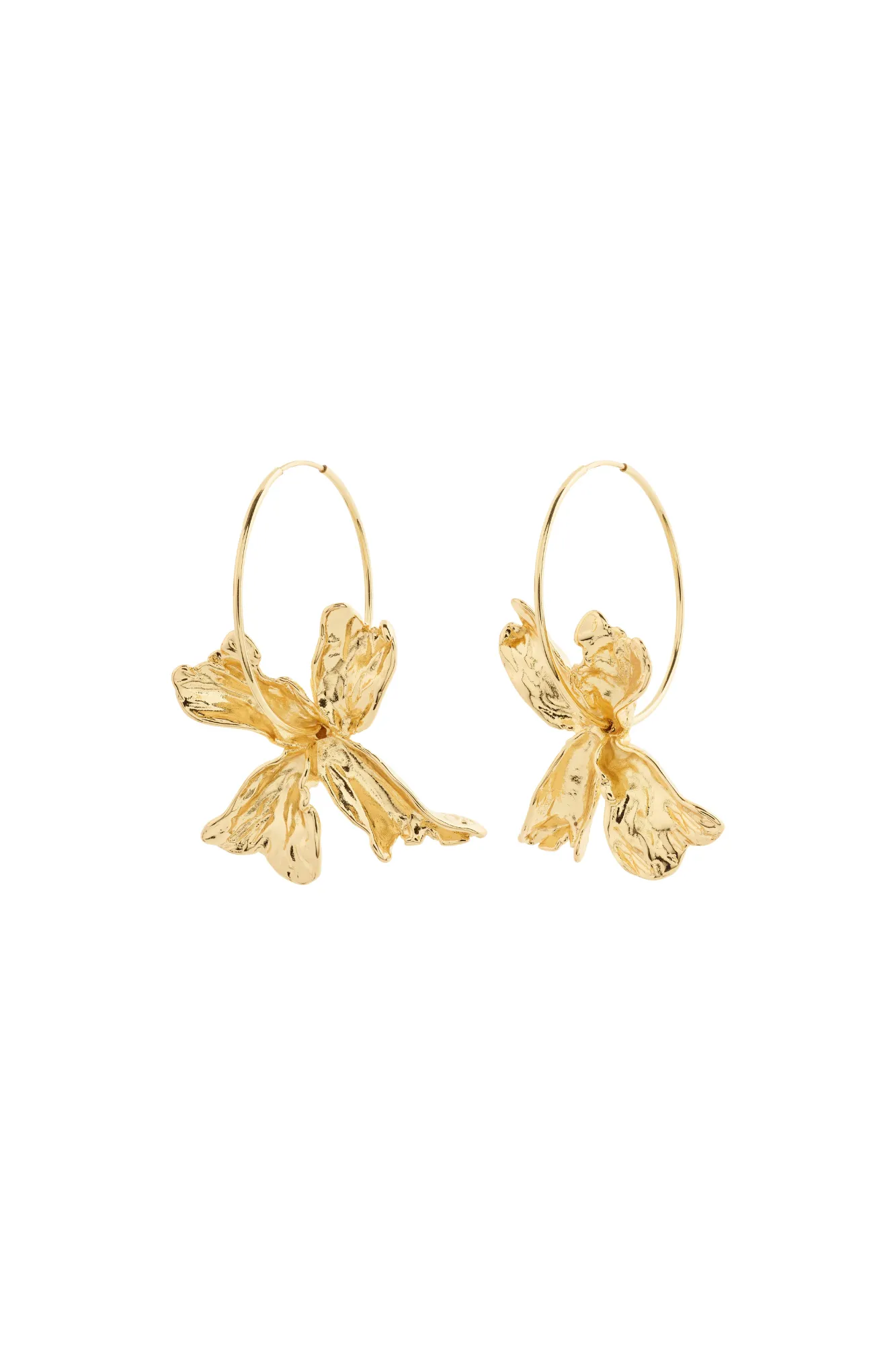 Pilgrim Dream Hoops Gold Plated