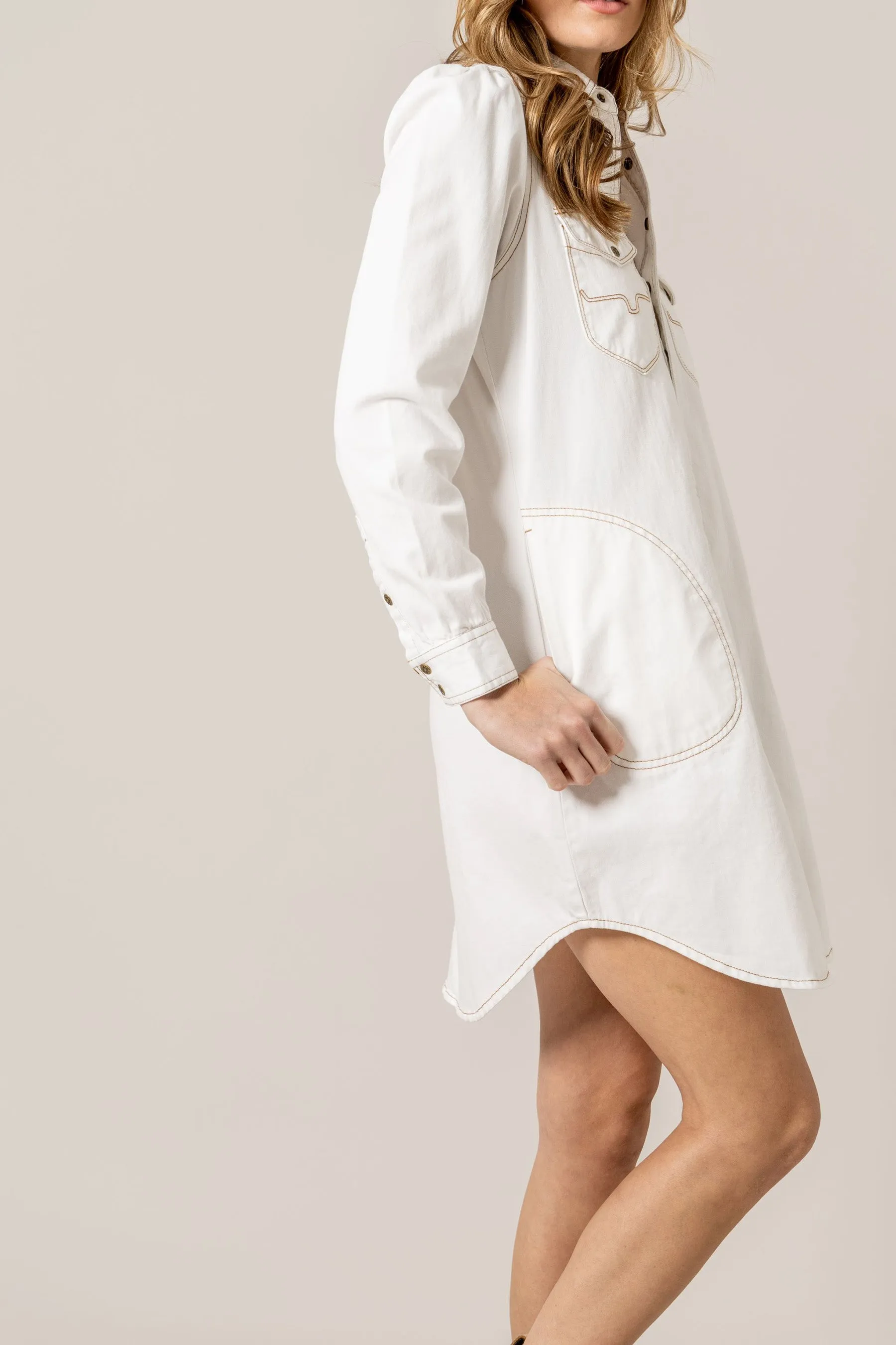 Rox Denim Dress